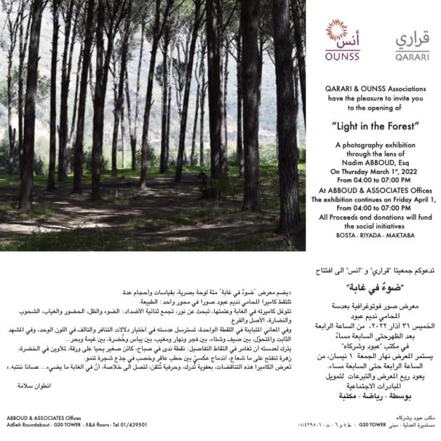 Light In The Forest Exhibition